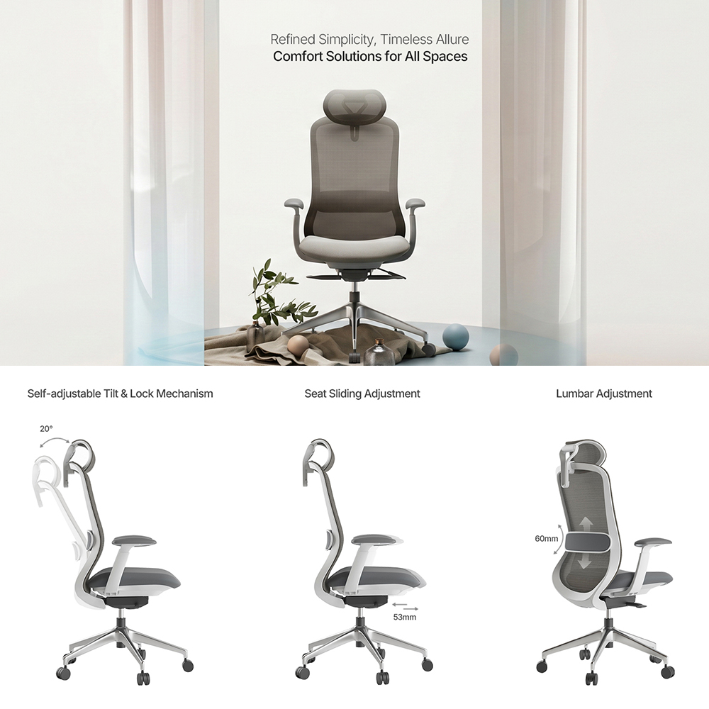 Advanced Lumbar Support System