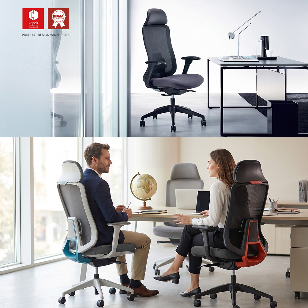 Advanced Lumbar Support System