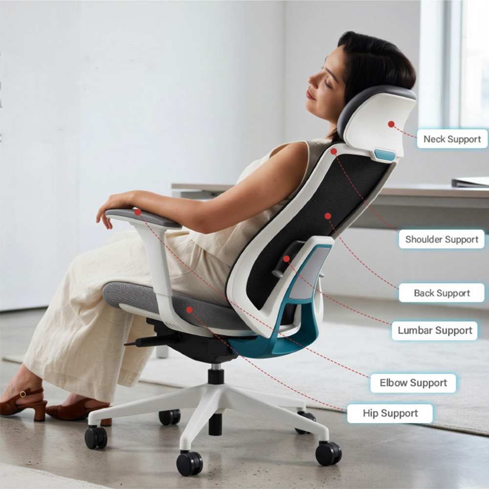 Advanced Lumbar Support System