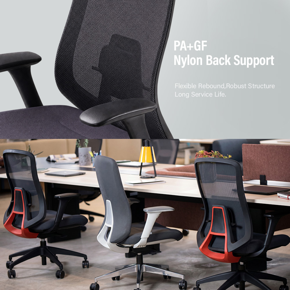 Customizable Ergonomic Support and Lumbar Adjustment