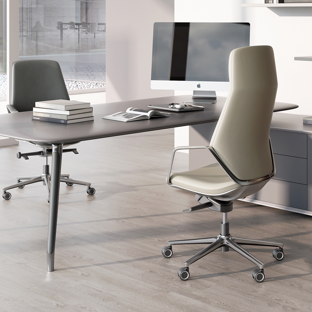 Customization Options and Professional Support Services
