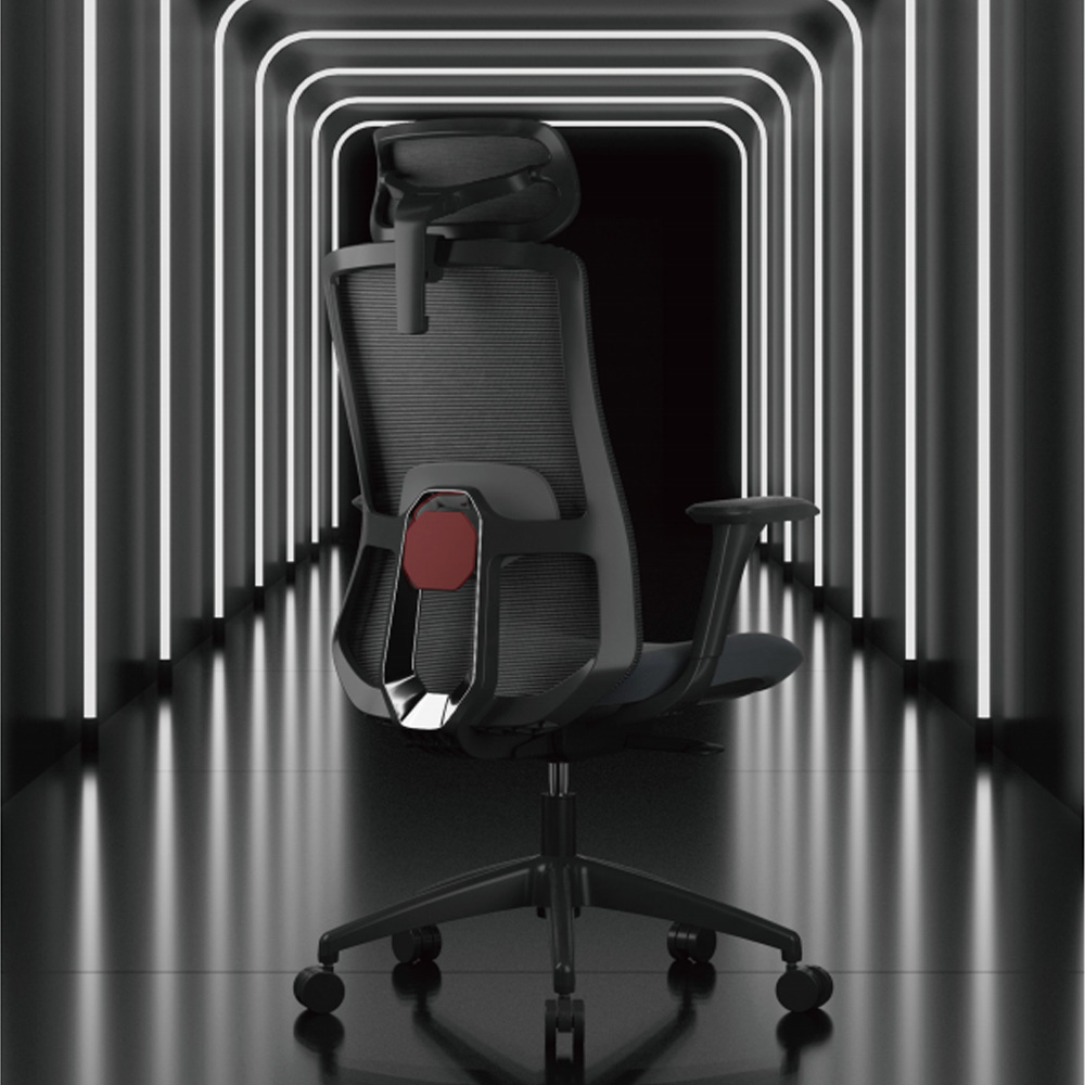 Ergonomic Support and Health Benefits