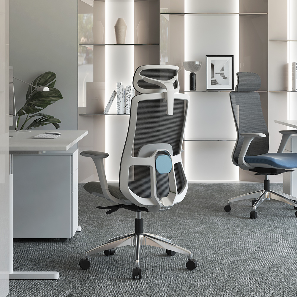 Ergonomic Adjustability and Lumbar Support