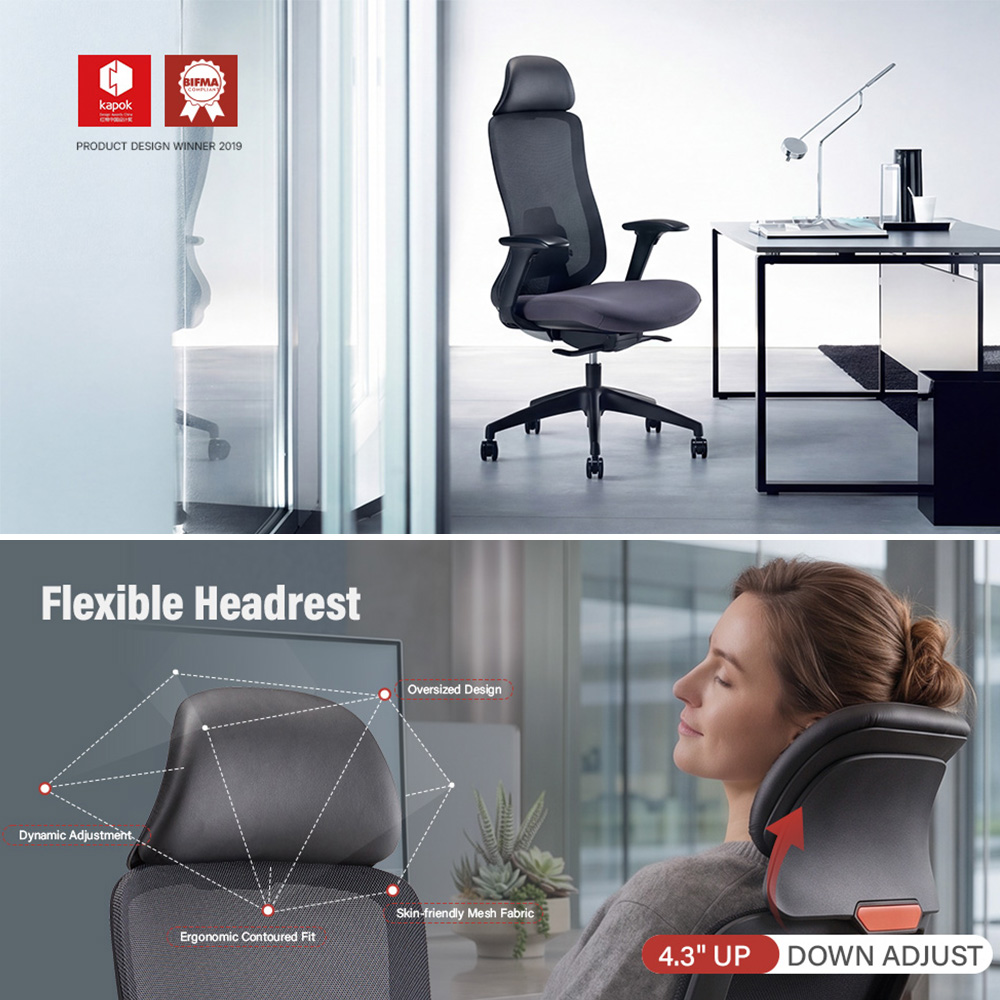 Premium Lumbar Support System