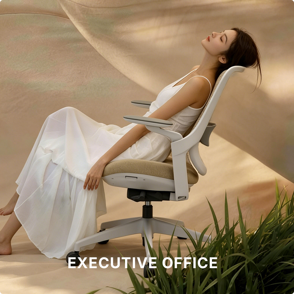 4.EXECUTIVE OFFICE.png