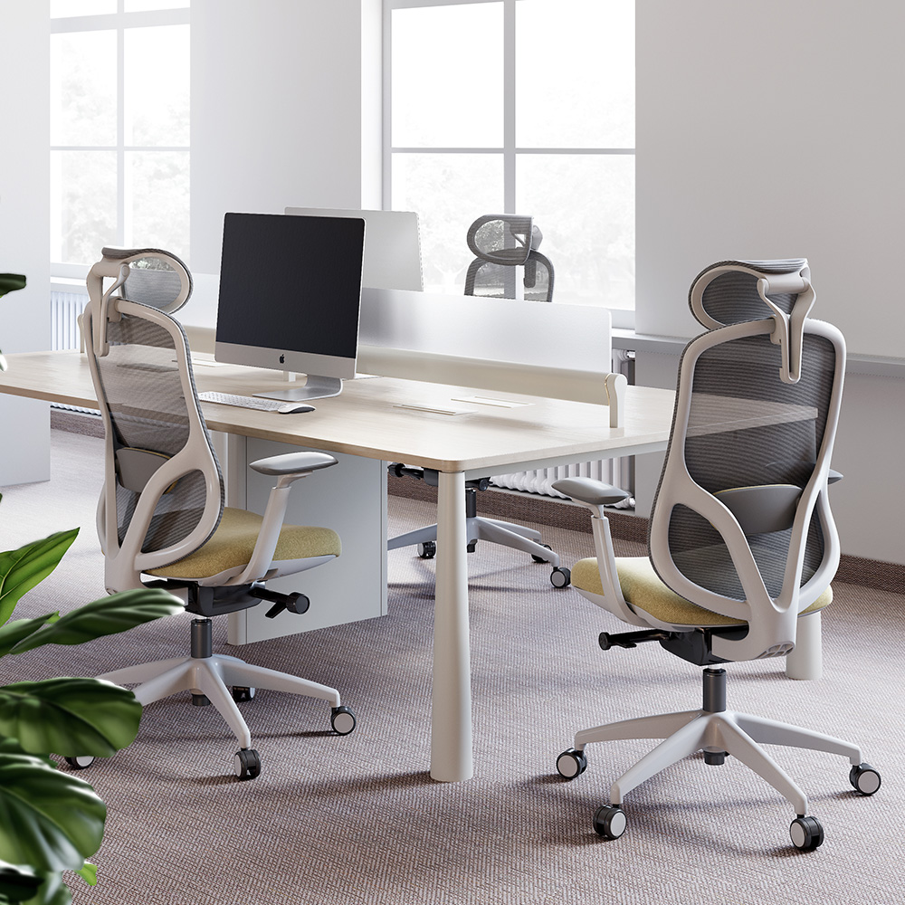 Customizable Ergonomic Adjustments