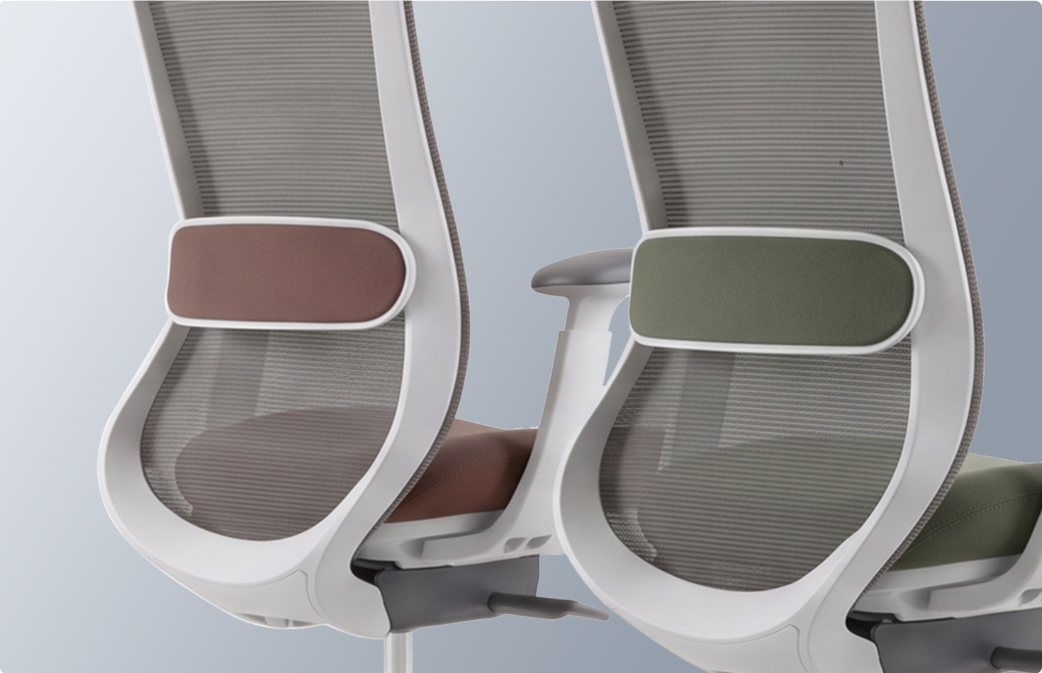 5.Lumbar Support Diverse Color Options_.png