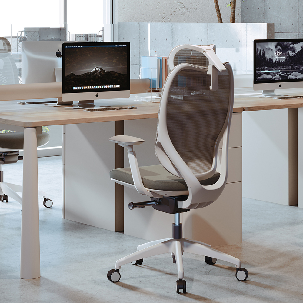 Ergonomic Support System