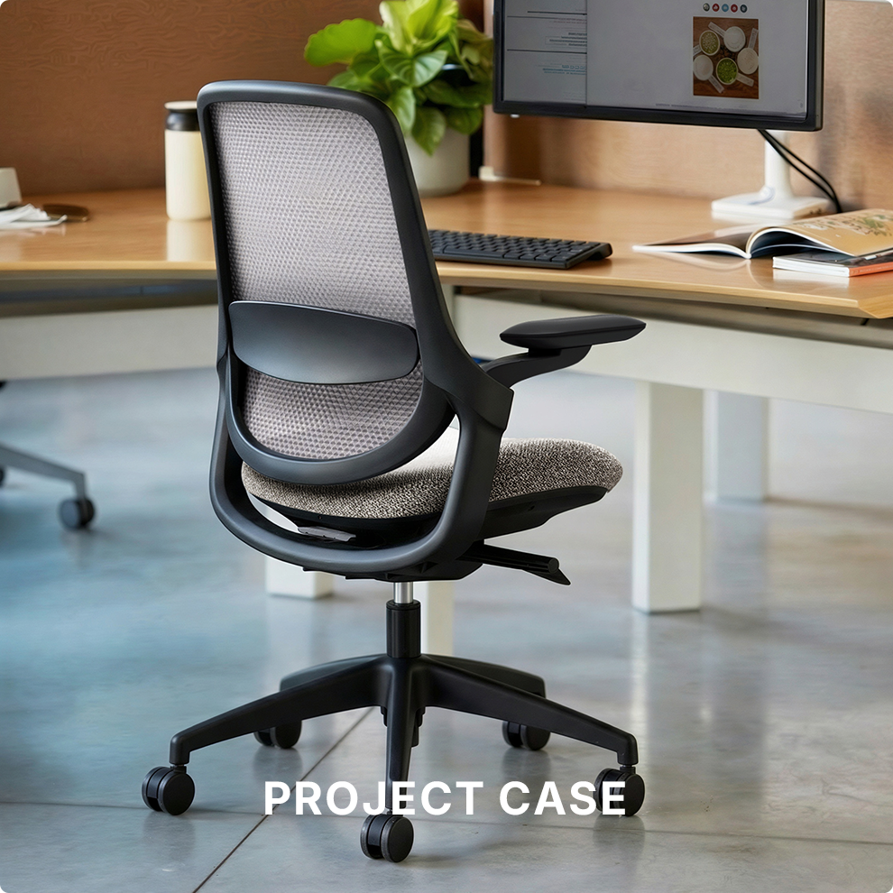 5.Project Case.png