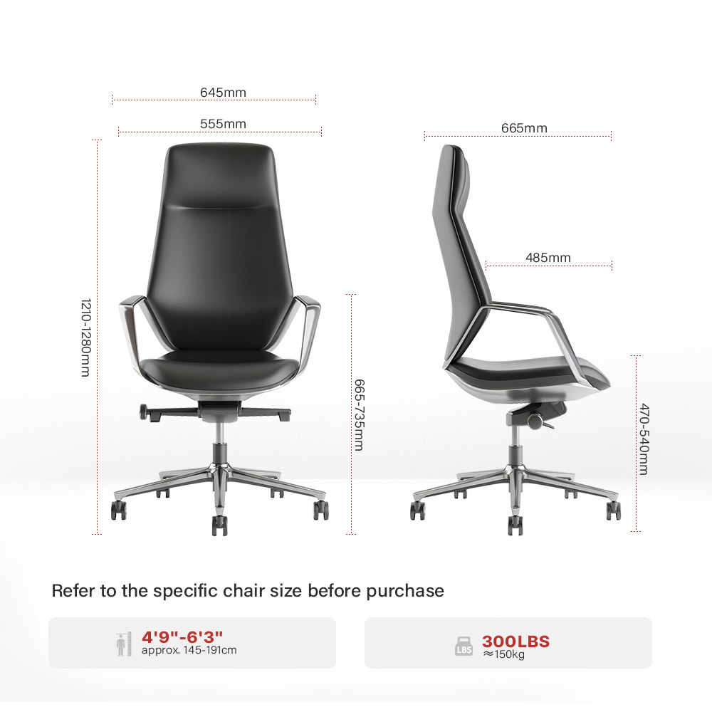 Versatile Style Enhancing Professional Environments