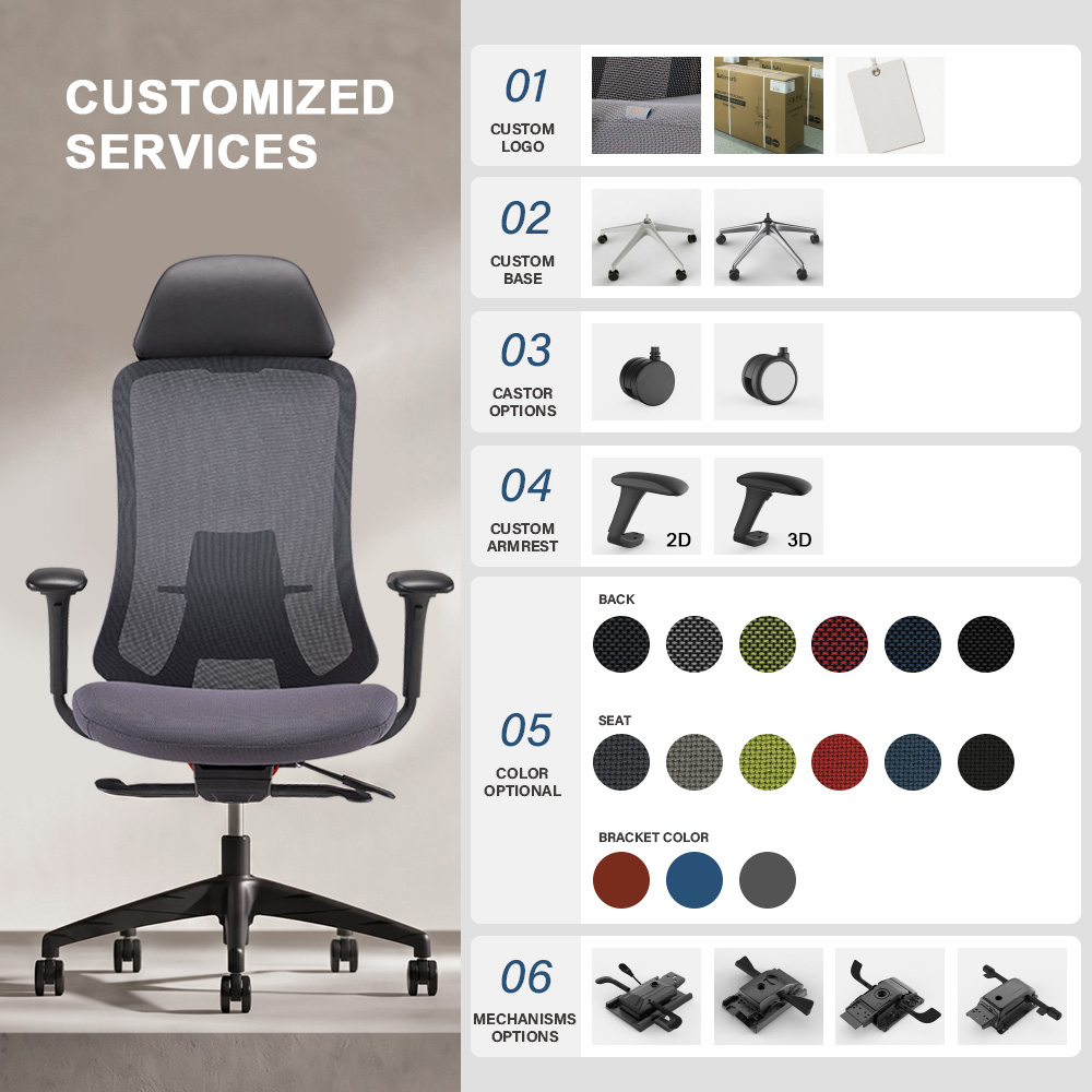 Advanced Lumbar Support System