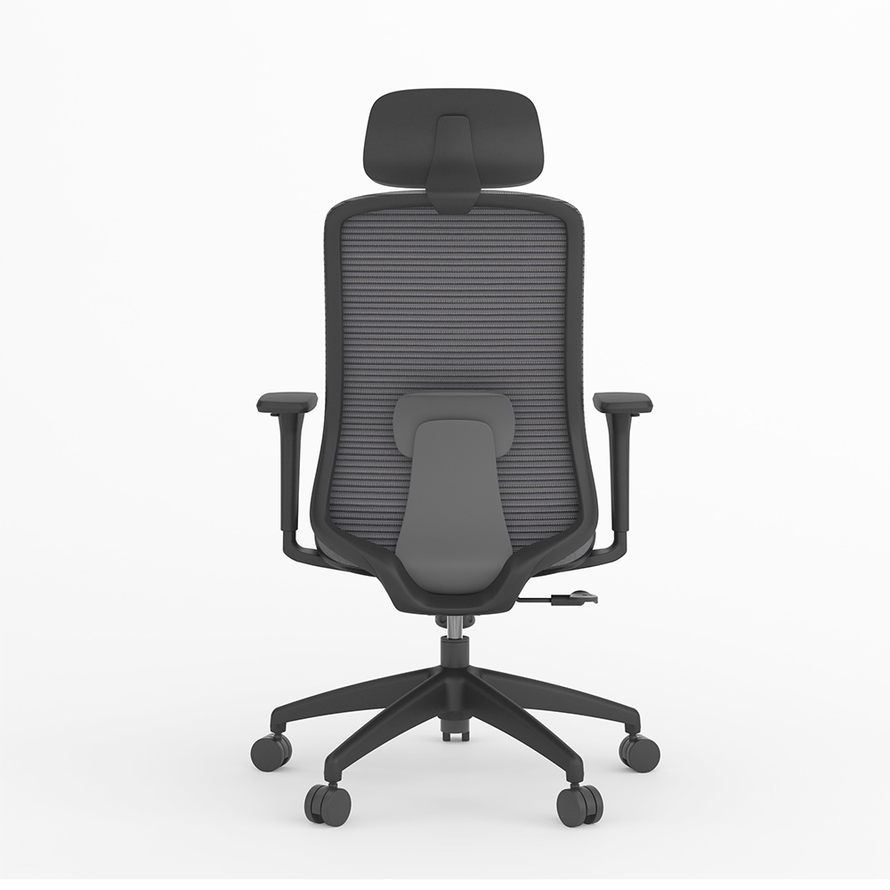 Ergonomic Support and Health Benefits