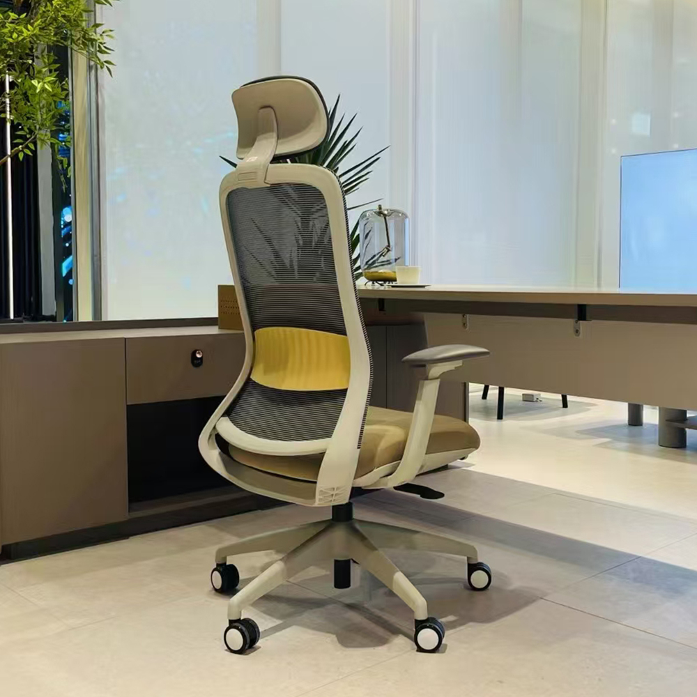 Customizable Ergonomic Features for Diverse Users