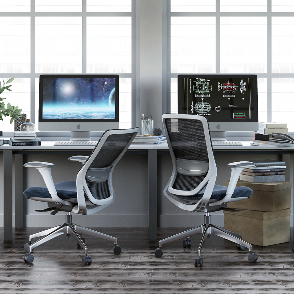 Advanced Lumbar Support System