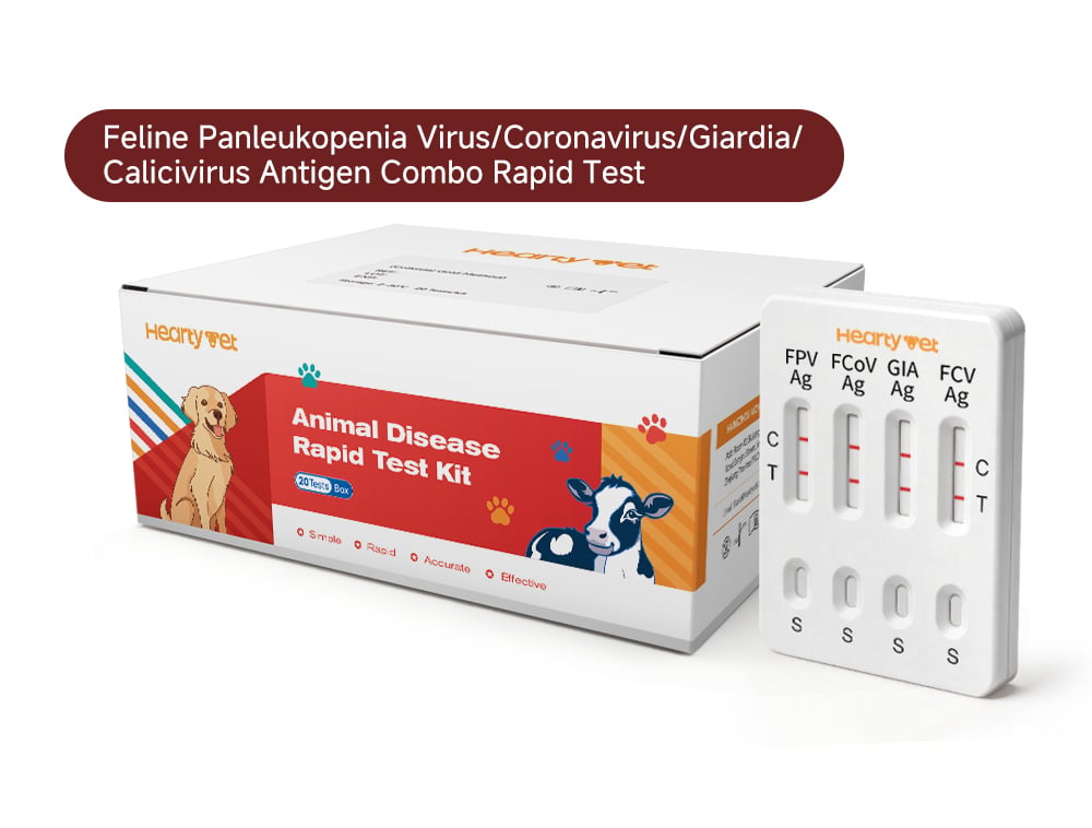 Feline GI 4-in-1 Rapid Test Kit (FPV/FCoV/GIA/FCV Ag)
