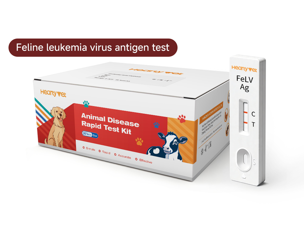 Feline Leukemia Virus (FeLV) Rapid Antigen Test Kit