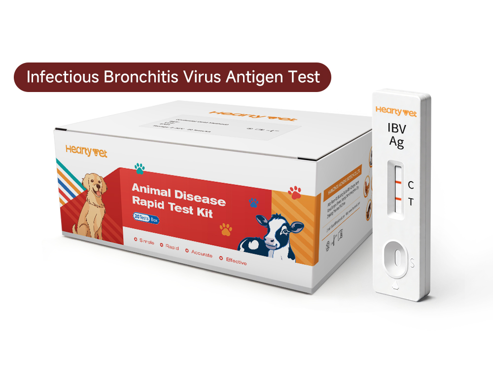 Infectious Bronchitis Virus (IBV) Rapid Antigen Test Kit for Chickens