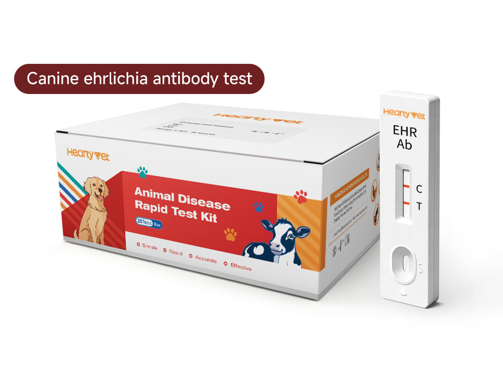 Canine Ehrlichia Antibody Rapid Test Kit