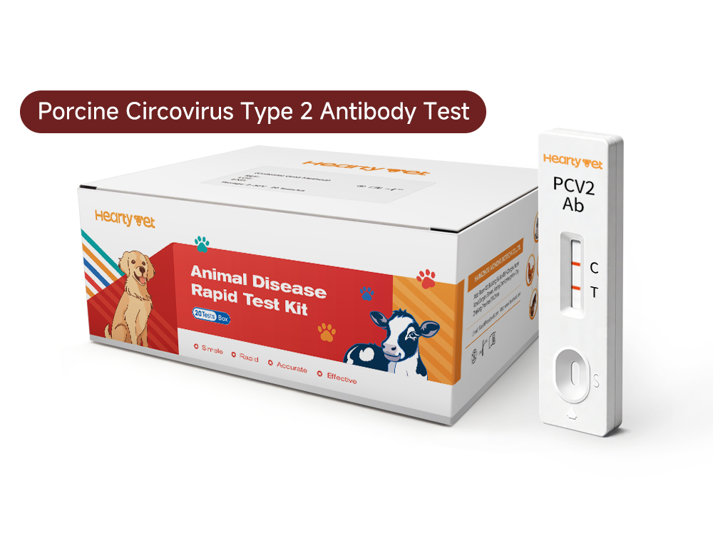 Porcine Circovirus 2 (PCV2) Antibody Rapid Test Kit — Herd Immunity Monitoring