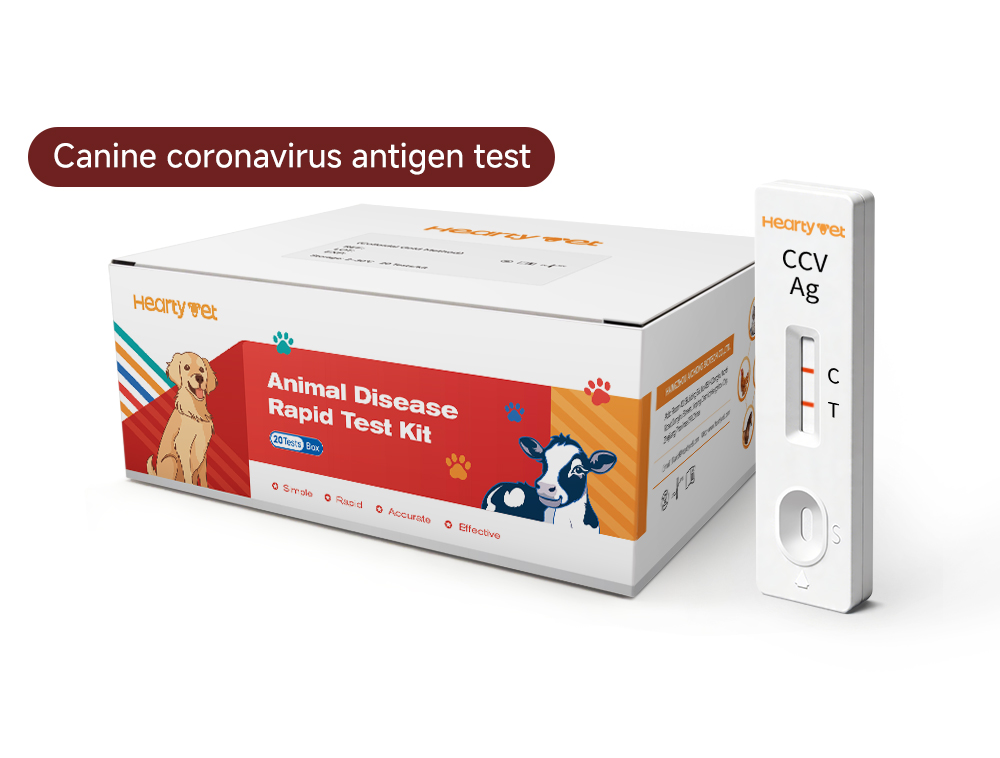 Canine Coronavirus (CCV) Rapid Antigen Test Kit