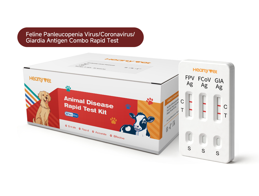 Feline GI Triple Rapid Test Kit — Panleukopenia, Coronavirus & Giardia (FPV/FCoV/GIA Ag)