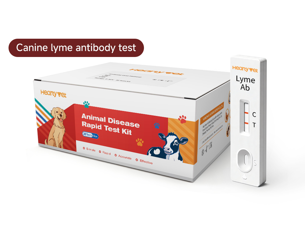 Canine Lyme Disease Antibody Rapid Test Kit