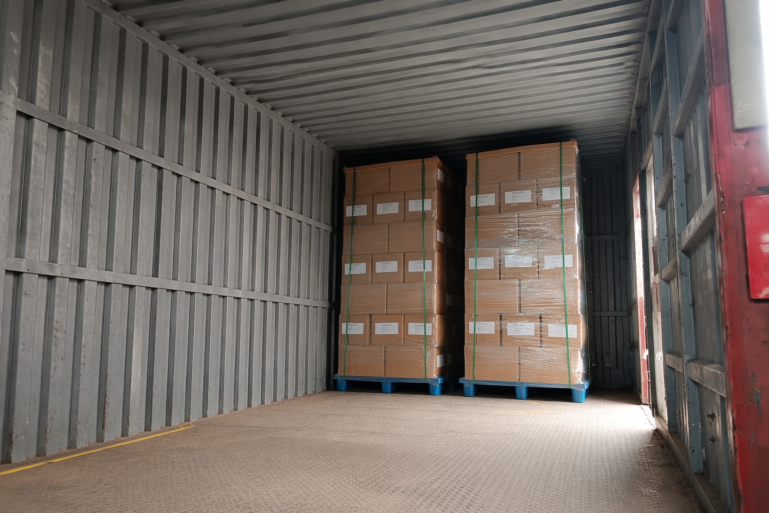 Global Delivery Excellence: Engineering Precision and Logistical Fortification for the French Pharmaceutical Market