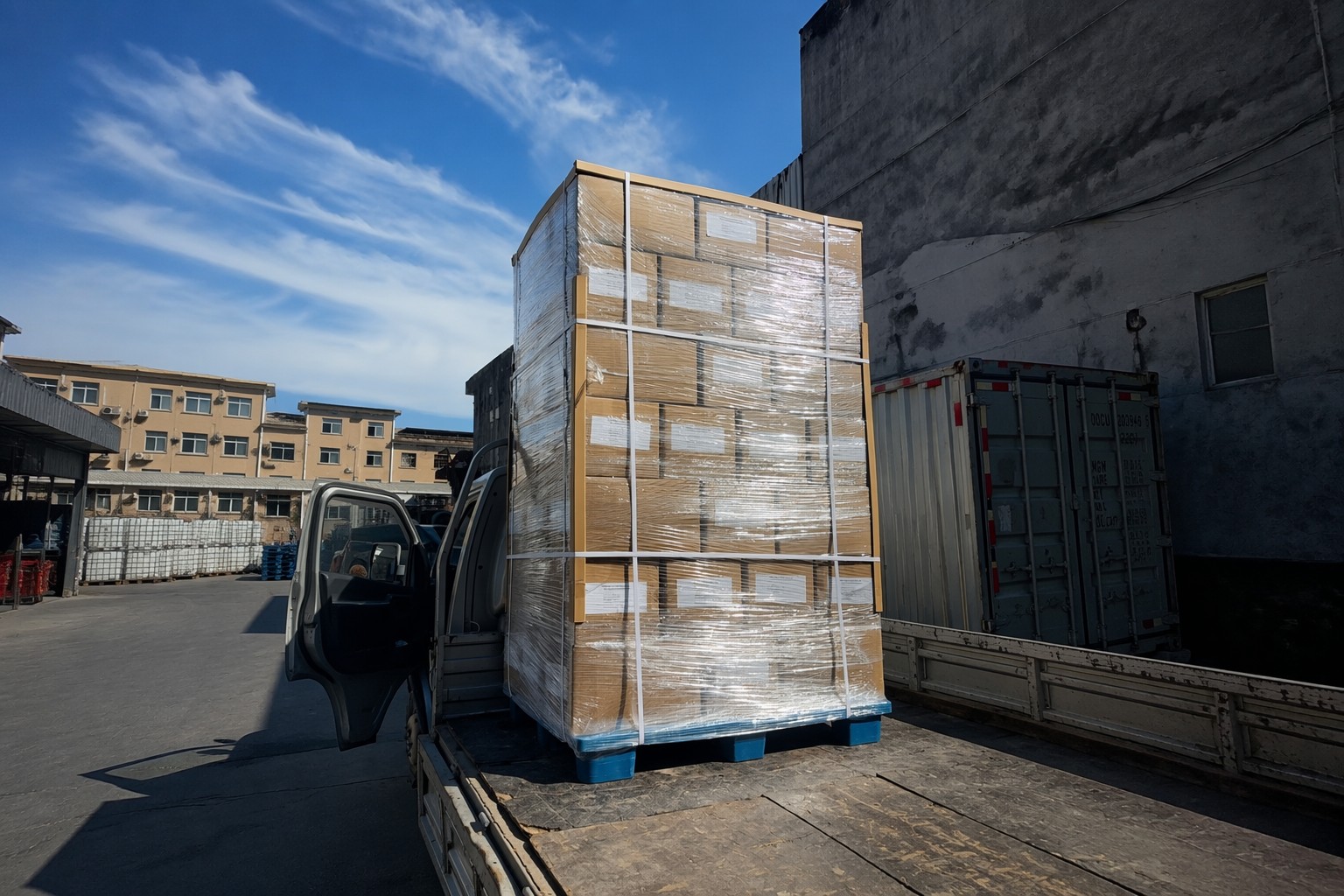 Global Delivery Excellence: Engineering Precision for a Leading Dutch Packaging Hub