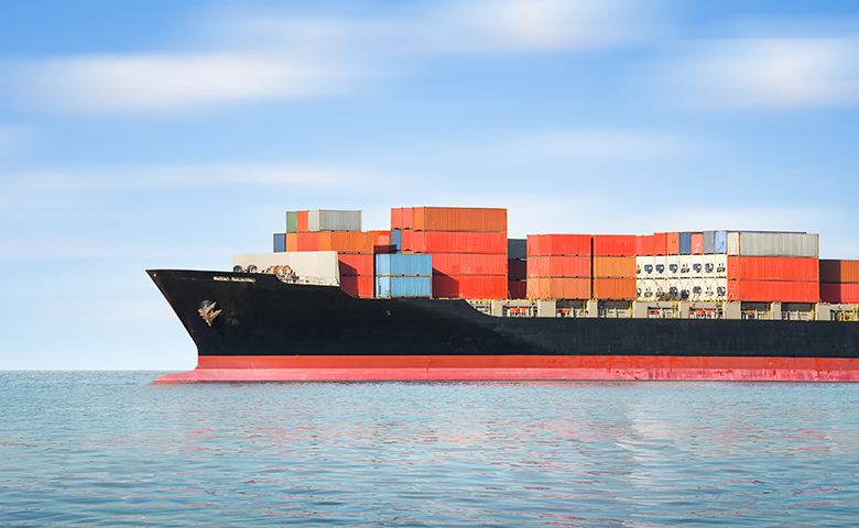 Export & Product Documentation Support