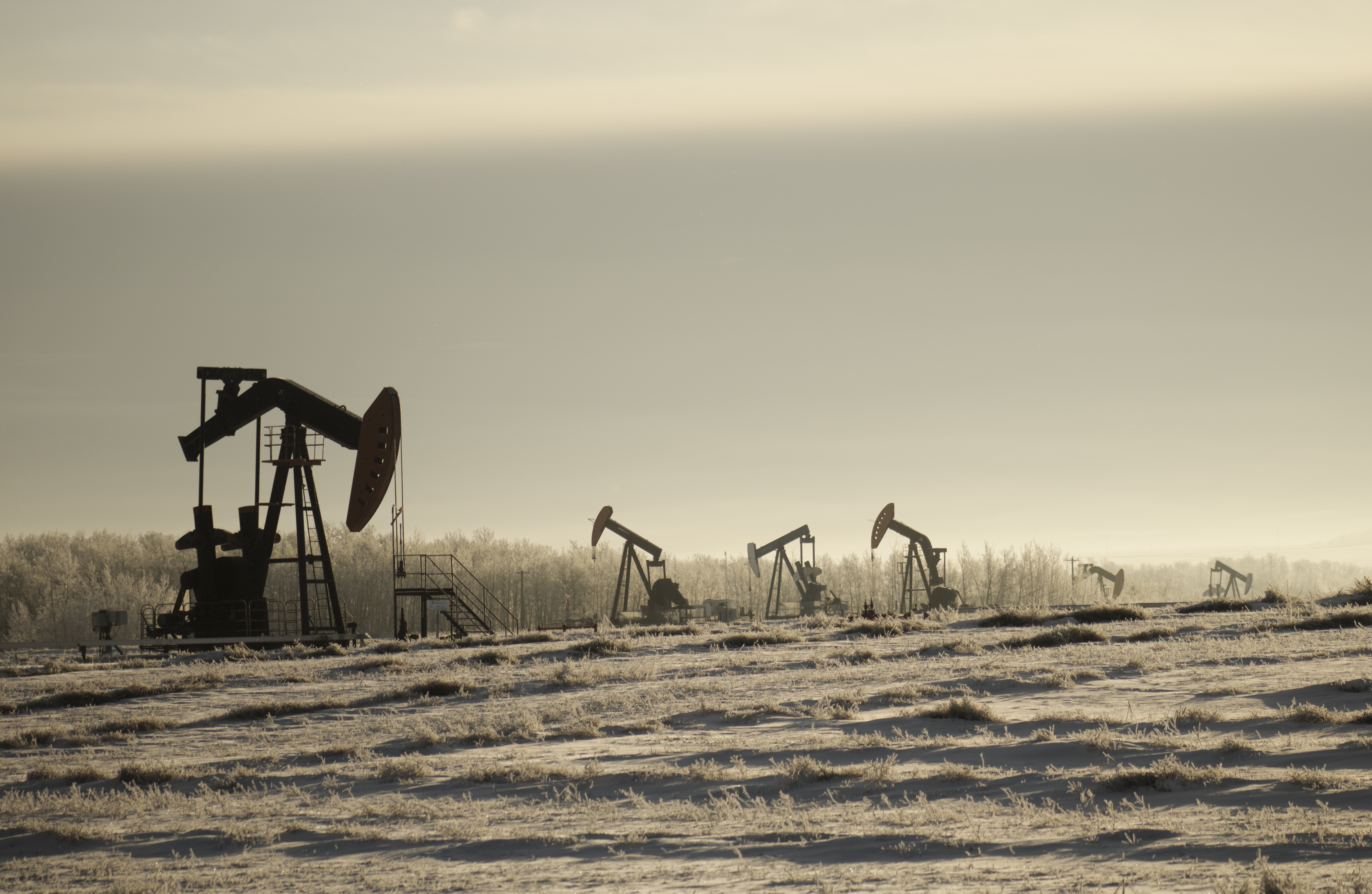 Unmatched Thermal Stability and Salt Resistance