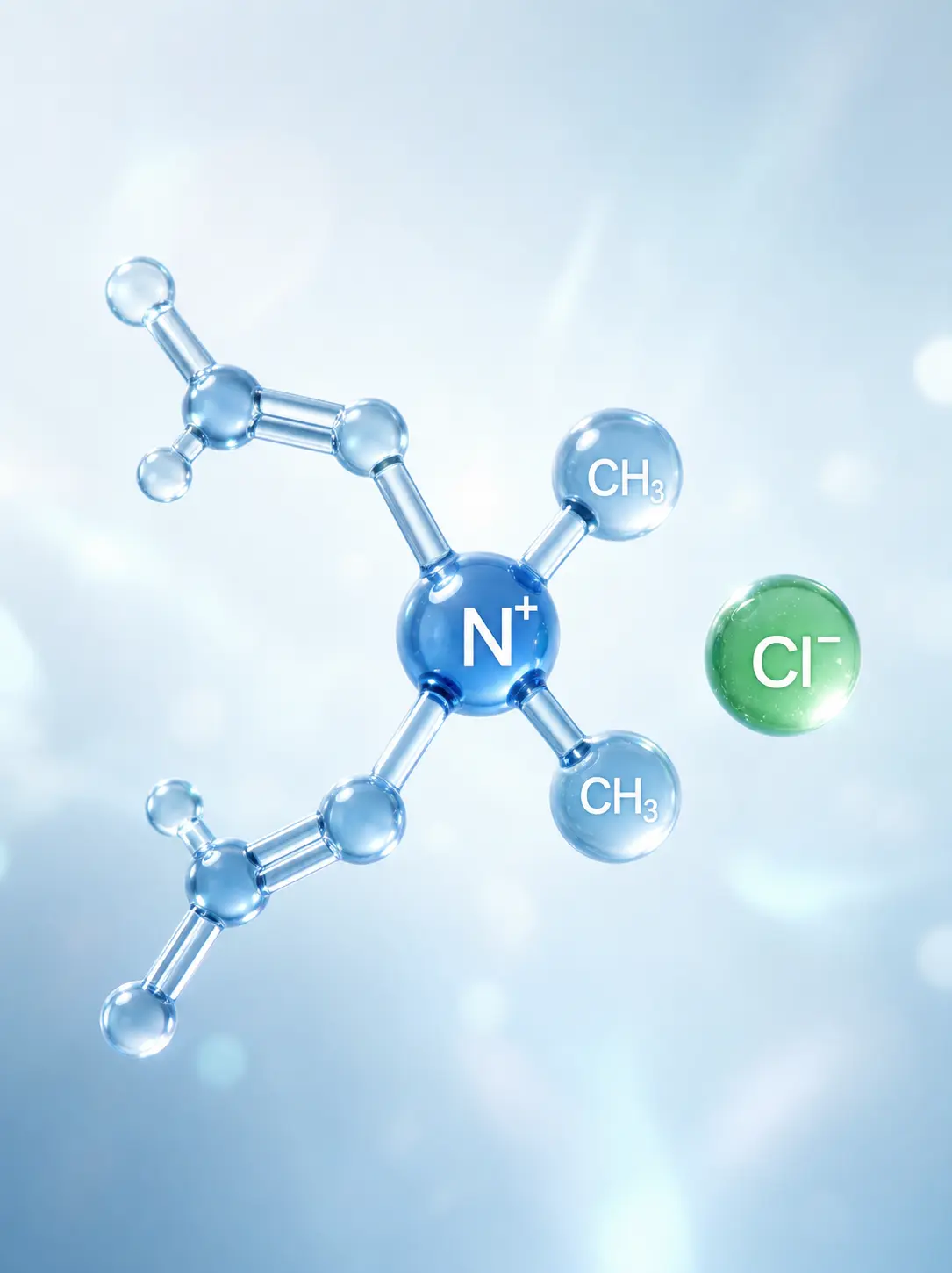 Functional Monomers