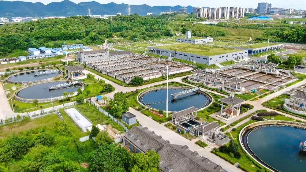 Flocculant manufacture