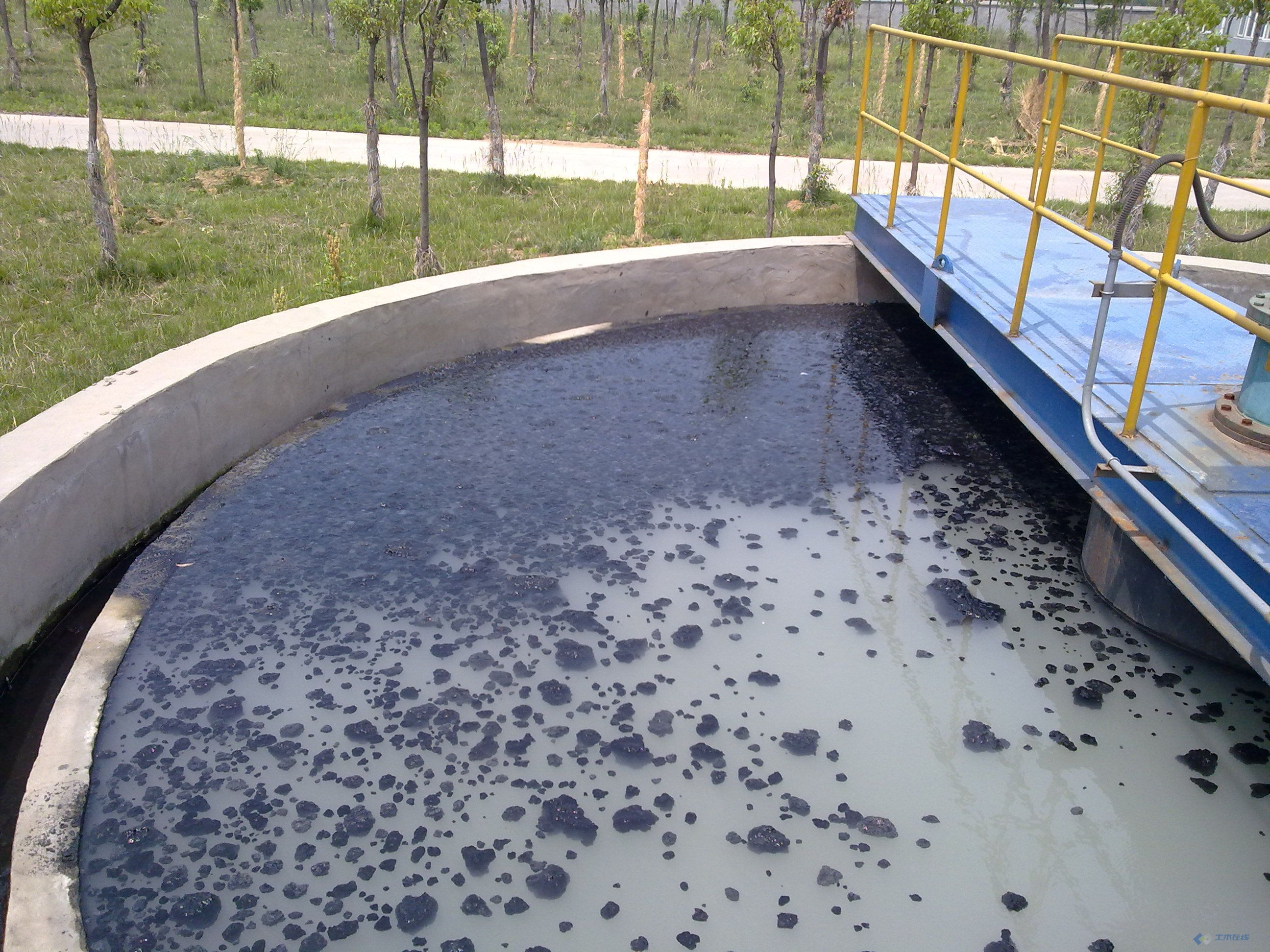 Flocculant manufacture
