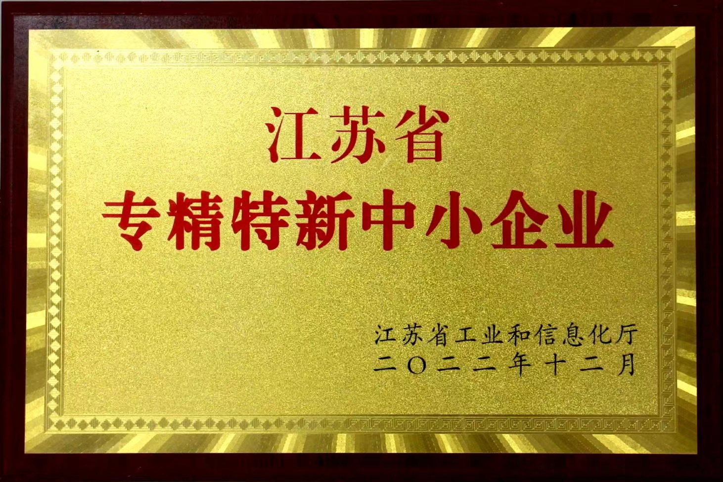 Jiangsu Provincial Leading Enterprise for Innovation & Entrepreneurship