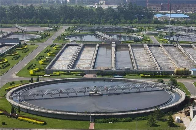 Methacryloyloxyethyl Trimethyl Ammonium Chloride (DMC) factory