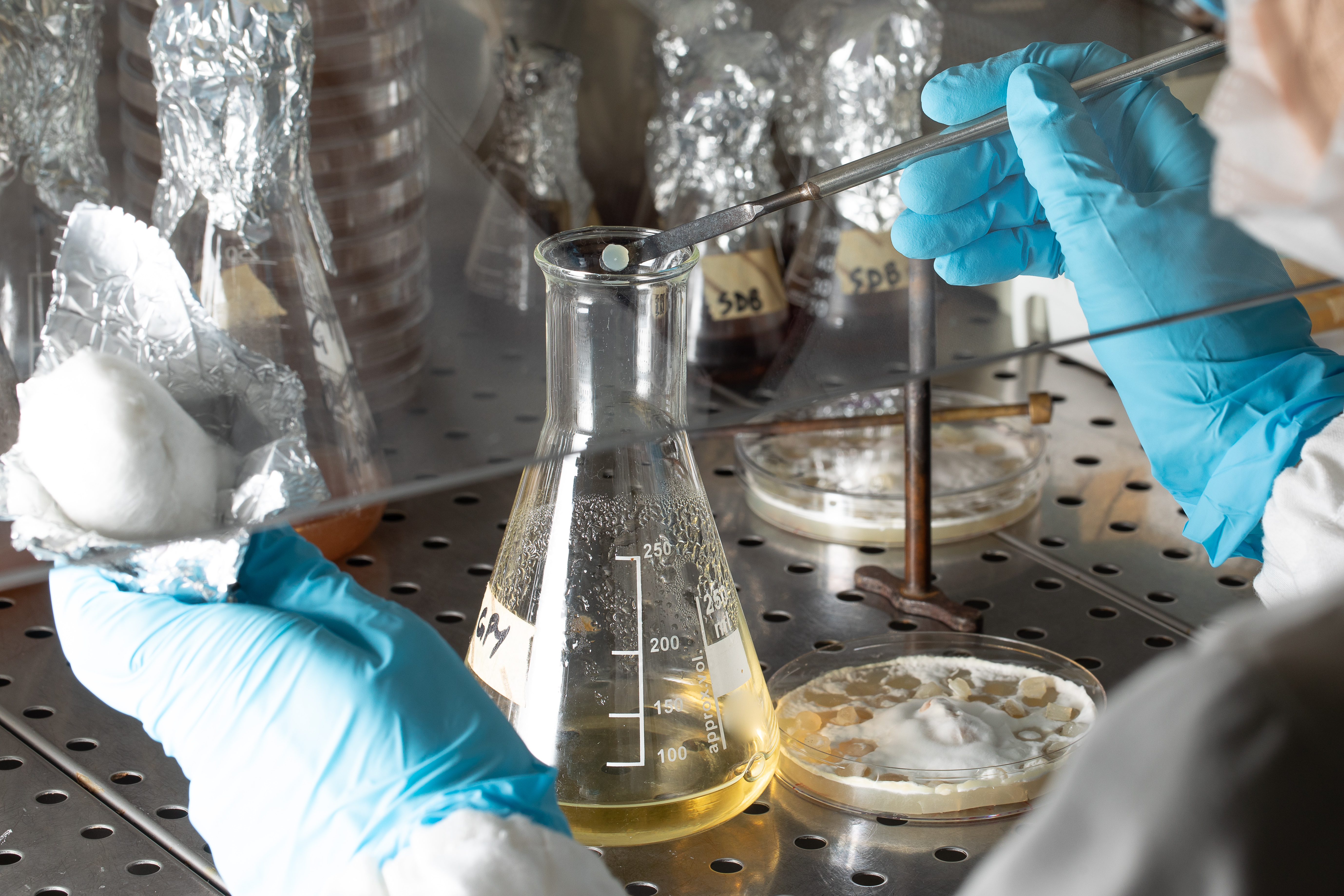 Innovative Polymer Engineering for Superior Flocculation