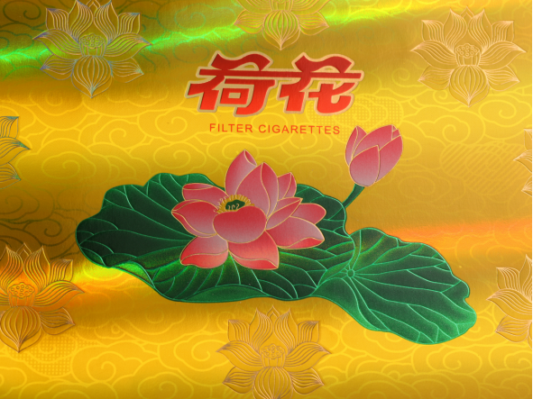 Holographic and metallic foil effects displayed on premium packaging samples