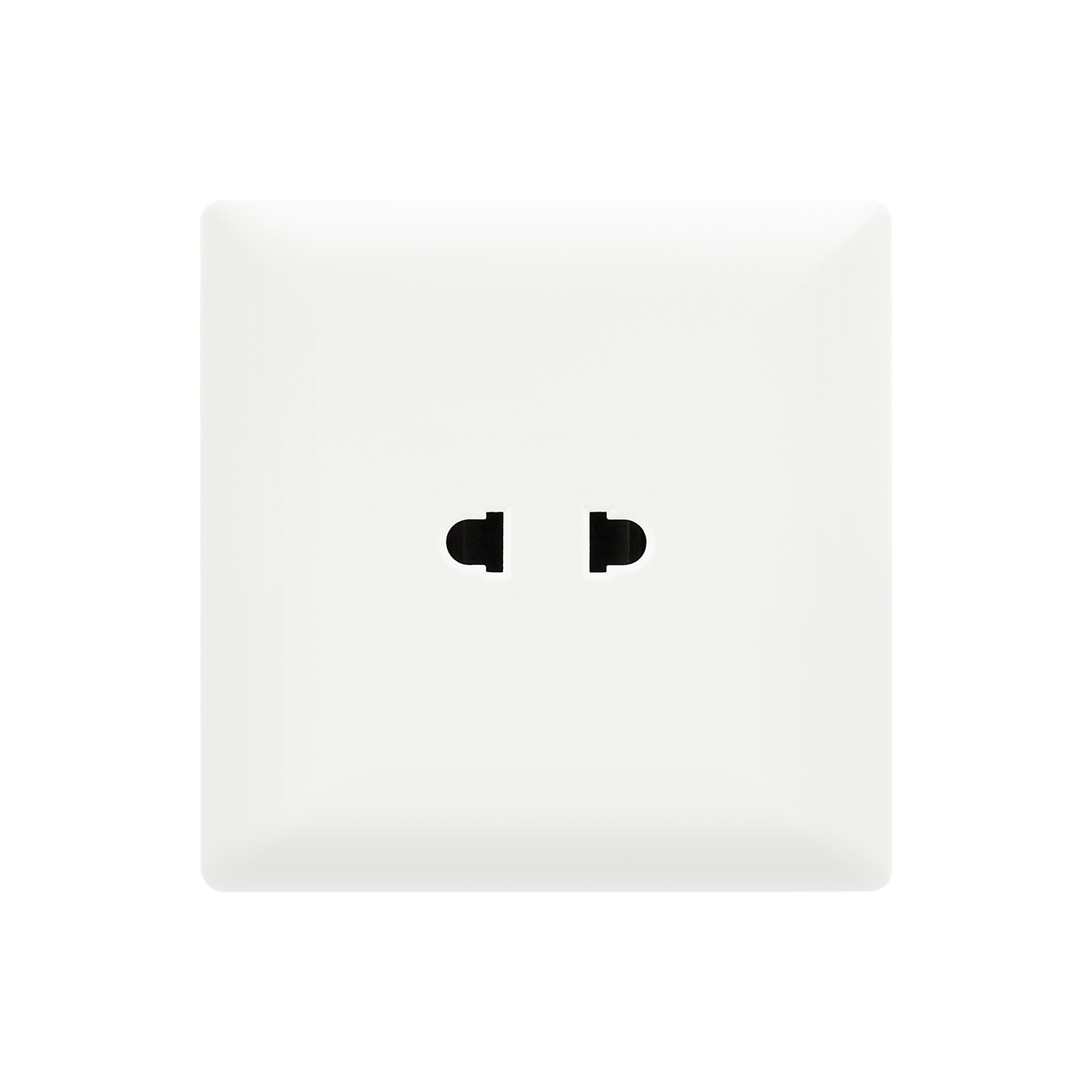 91460 — 10A 1 gang multi socket