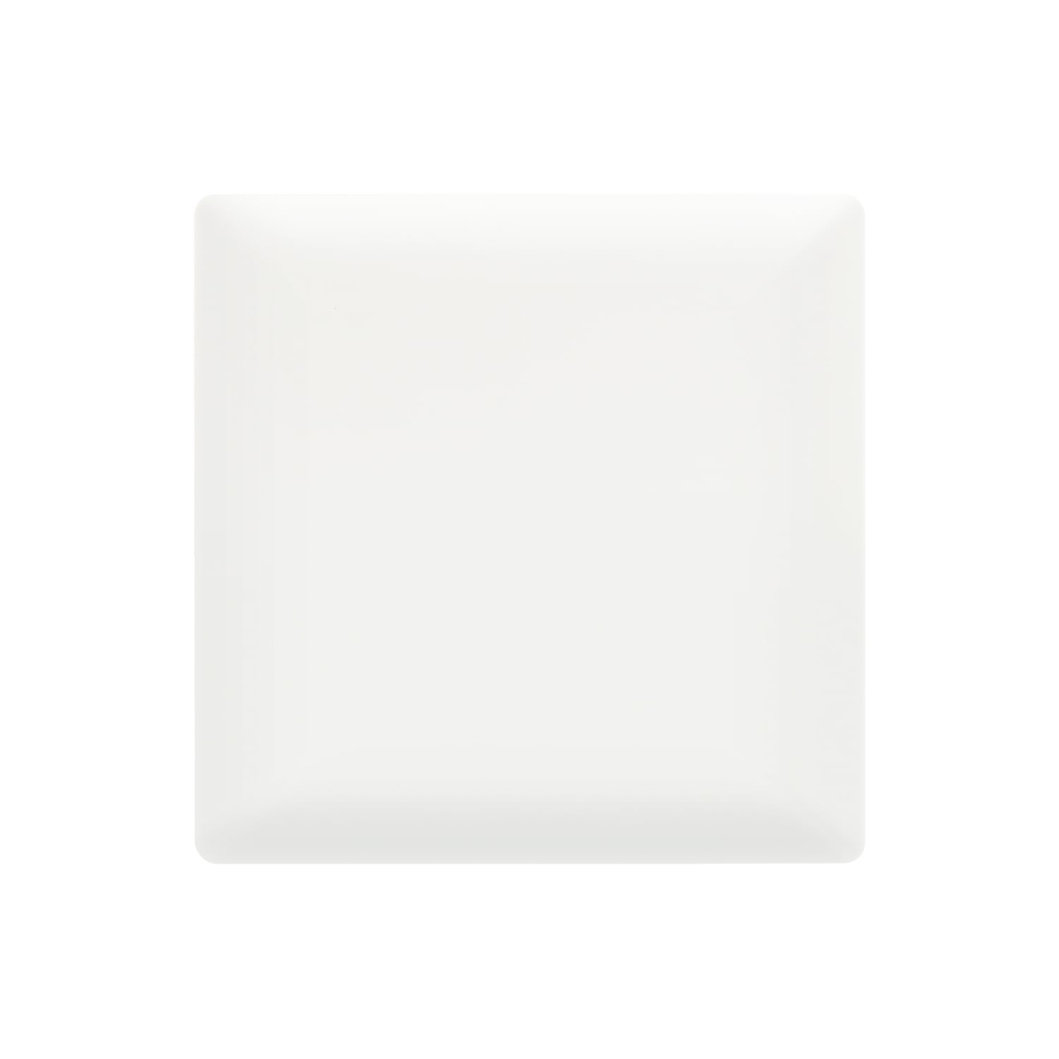 91401 —  1 gang blank plate