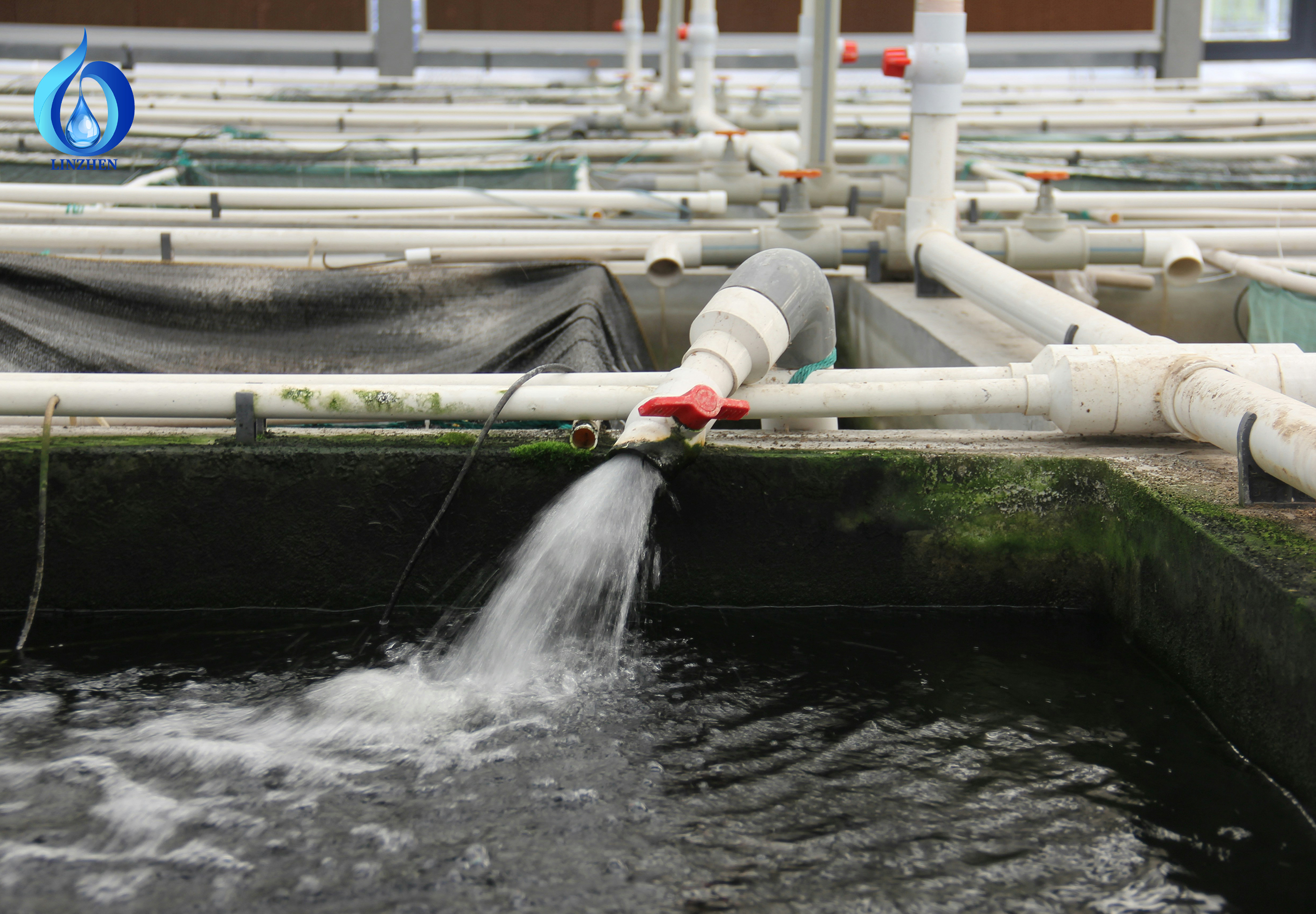 modular WWTP Colombia installation and field maintenance