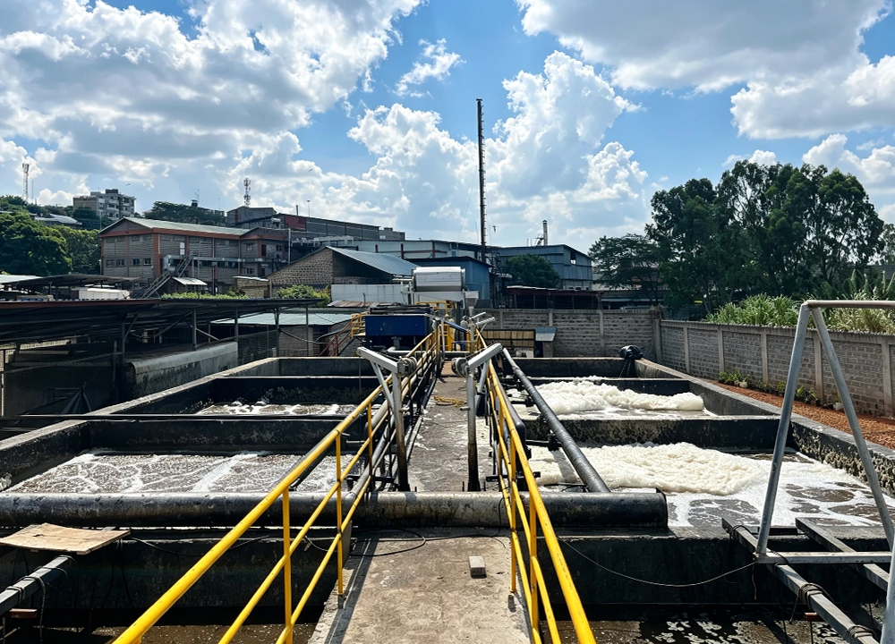 High-Efficiency DAF + MBBR Solution for Slaughterhouse Wastewater Treatment in Kenya