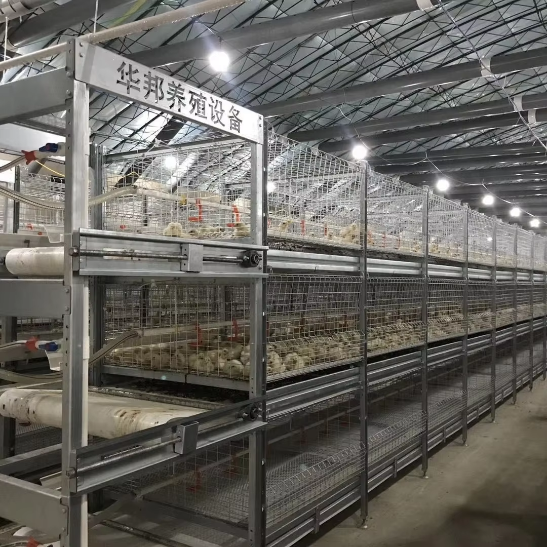 Mengapa Memilih Sangkar Ayam Berlapis Galvani untuk Pembiakan Tahan Kakisan