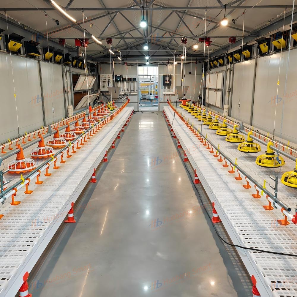 Avansert automasjon for maksimal effektivitet