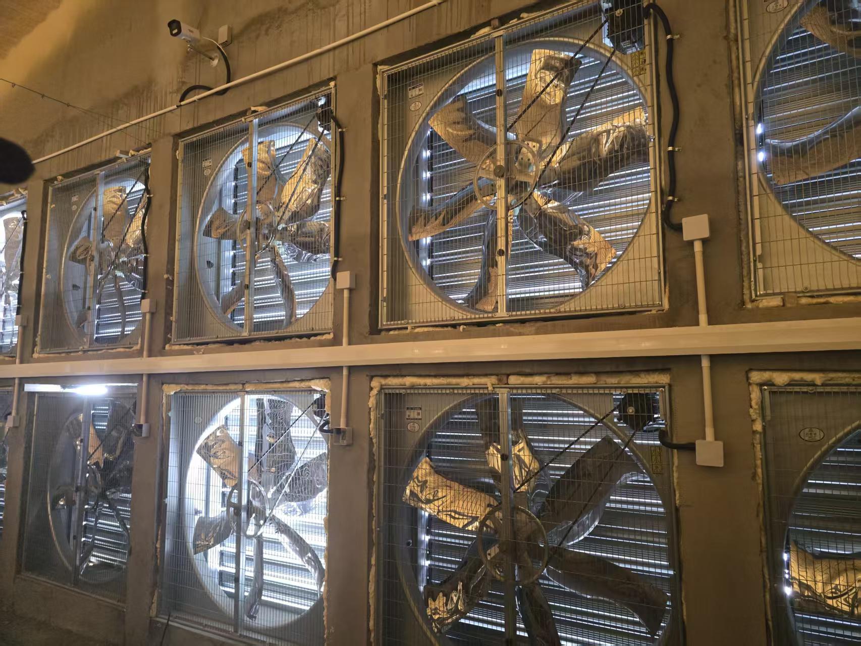 Forbedrer effektiviteten i fjøl med avanserte ventilasjonssystemer