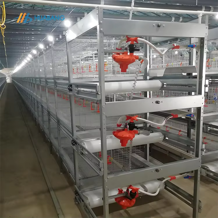 Why Invest in Durable Broiler Chicken Cage for Long Term Breeding