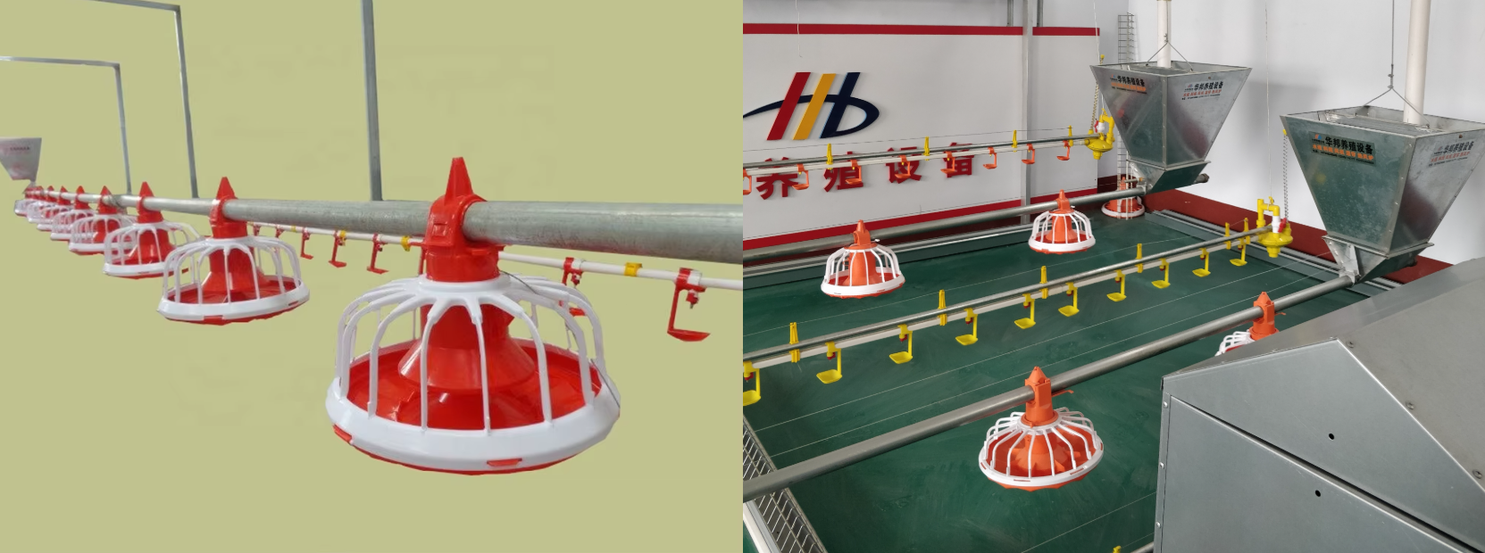 Durable Automatic Broiler Chicken Feeder Pan Big Chicken Feeding System Adjustable Pan New Condition End Line Poultry Control factory