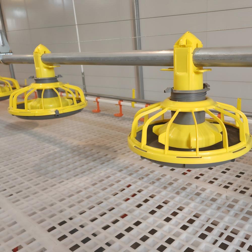 Uslått effektivitet med plastmatbeger for fjørfe