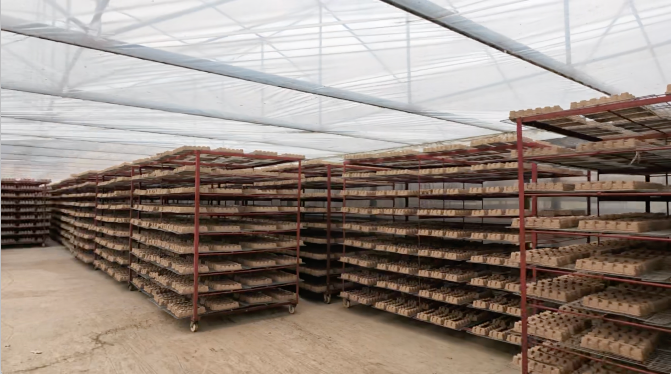 Molded pulp components arranged on multi-level drying racks.