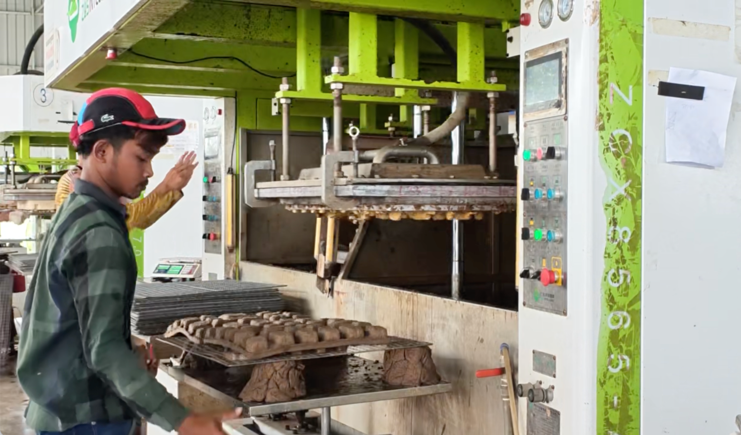 An operator works with molded pulp forming and pressing equipment.