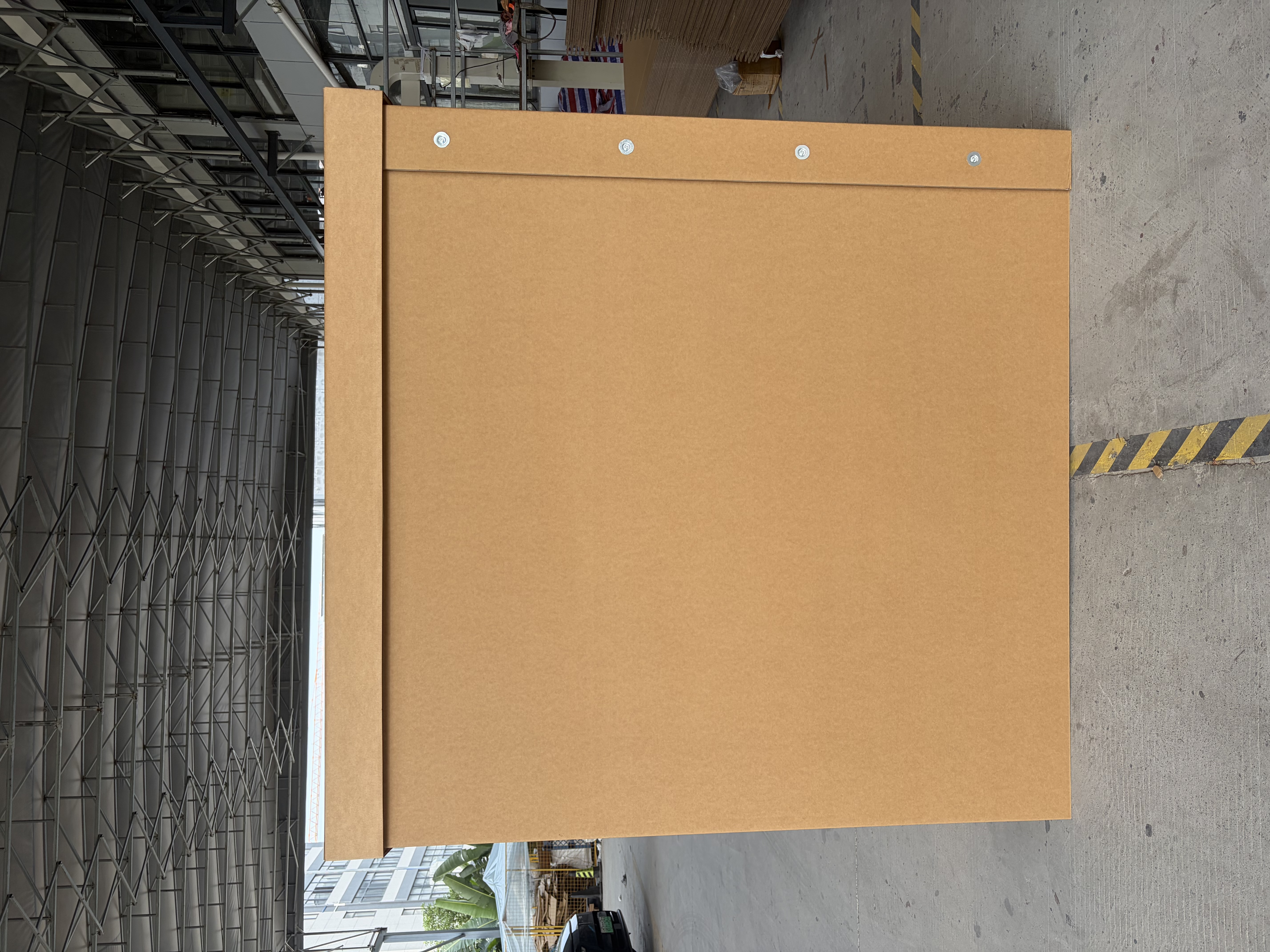 IMG_3562.jpeg